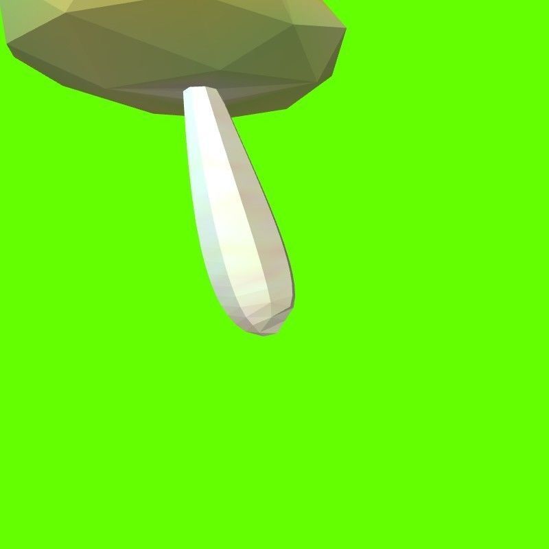Porcini mushroom 164824 3D print model_8