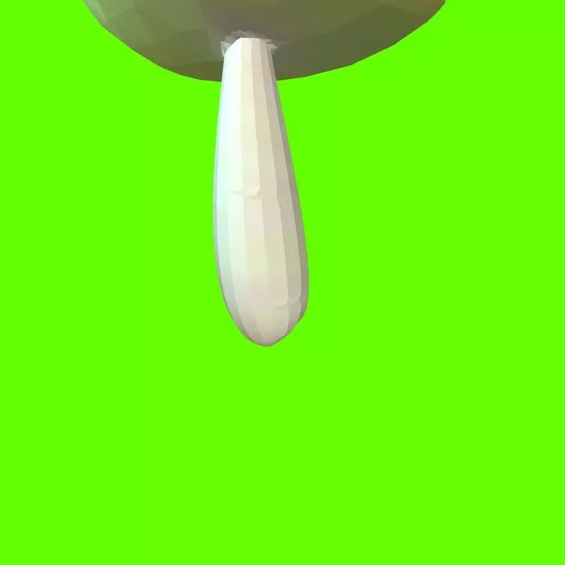 Porcini mushroom 164824 3D print model_0