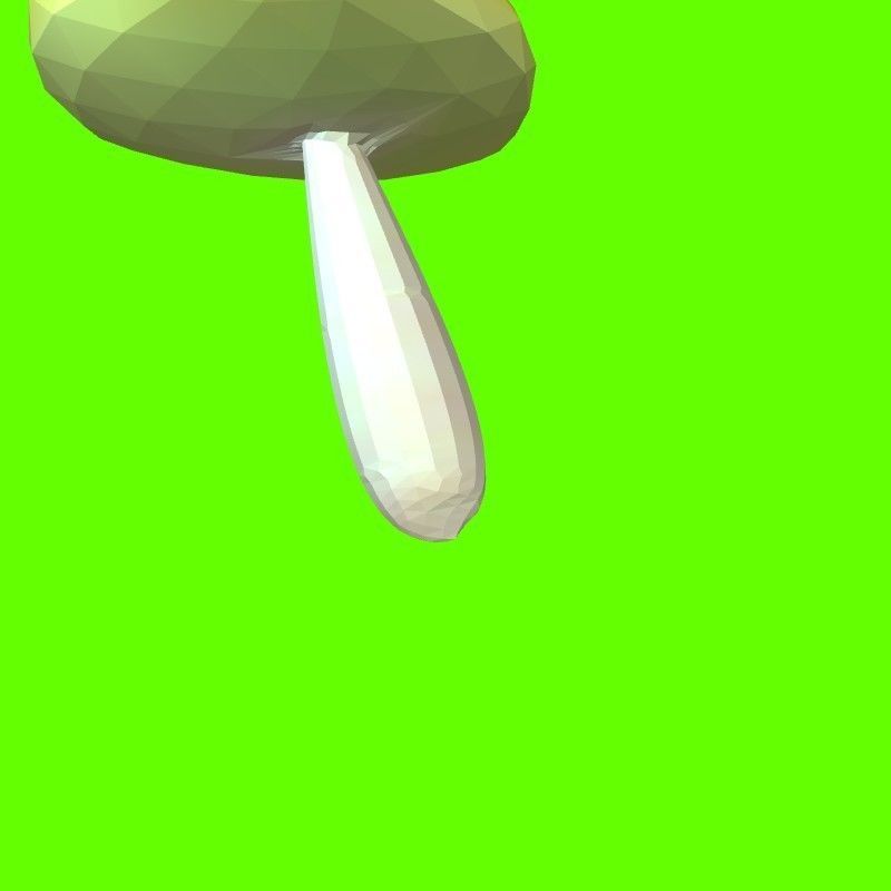 Porcini mushroom 164824 3D print model_9