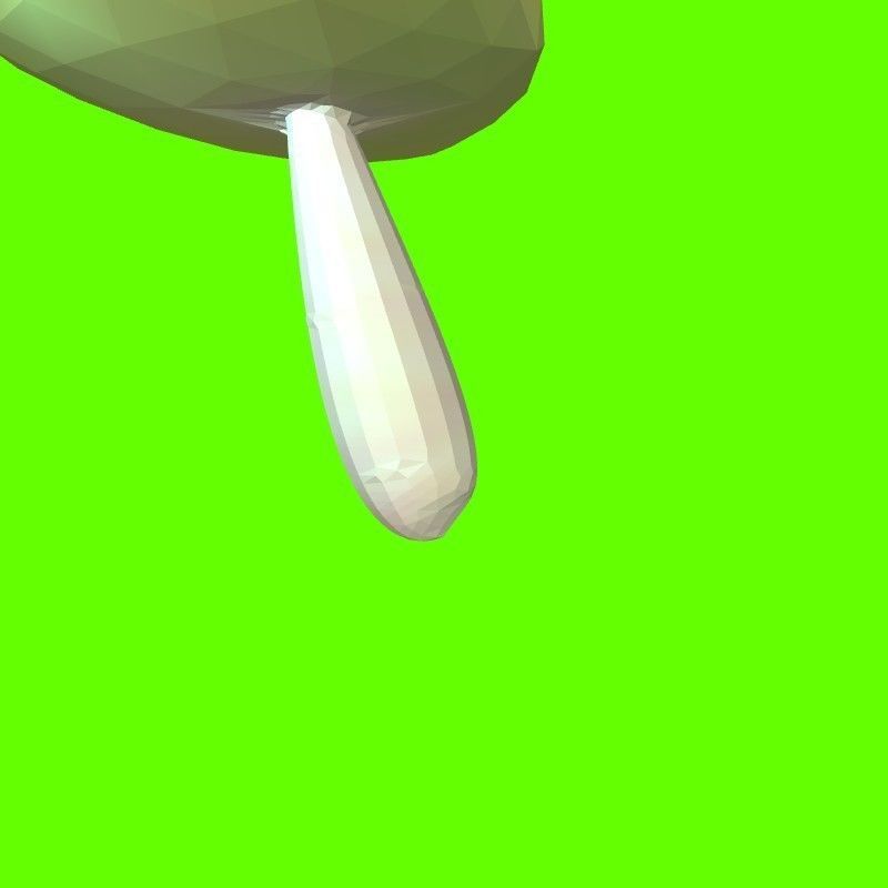 Porcini mushroom 164824 3D print model_6