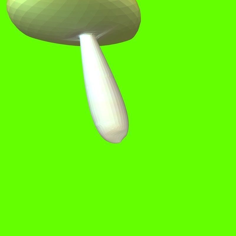 Porcini mushroom 164824 3D print model_10