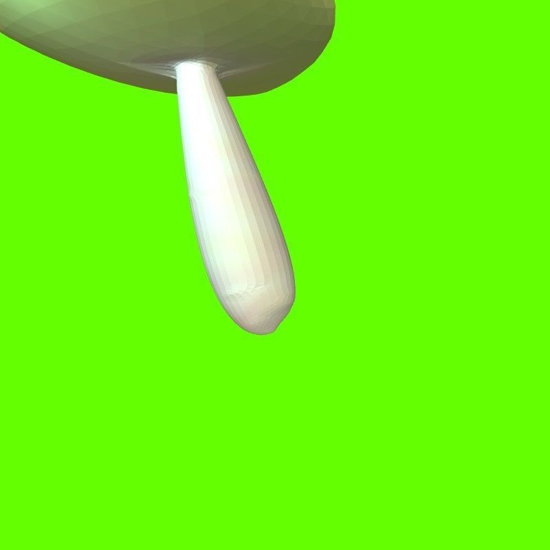 Porcini mushroom 164824 3D print model_7