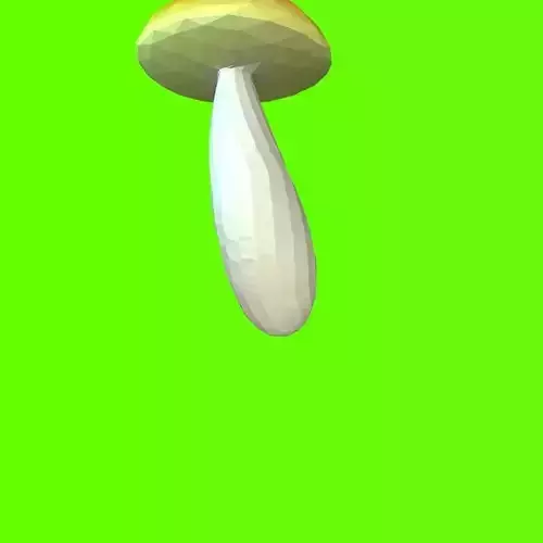 Porcini mushroom 165051