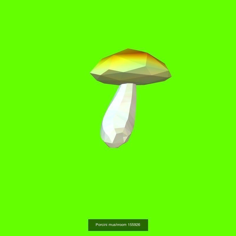 Porcini mushrooms collection _8