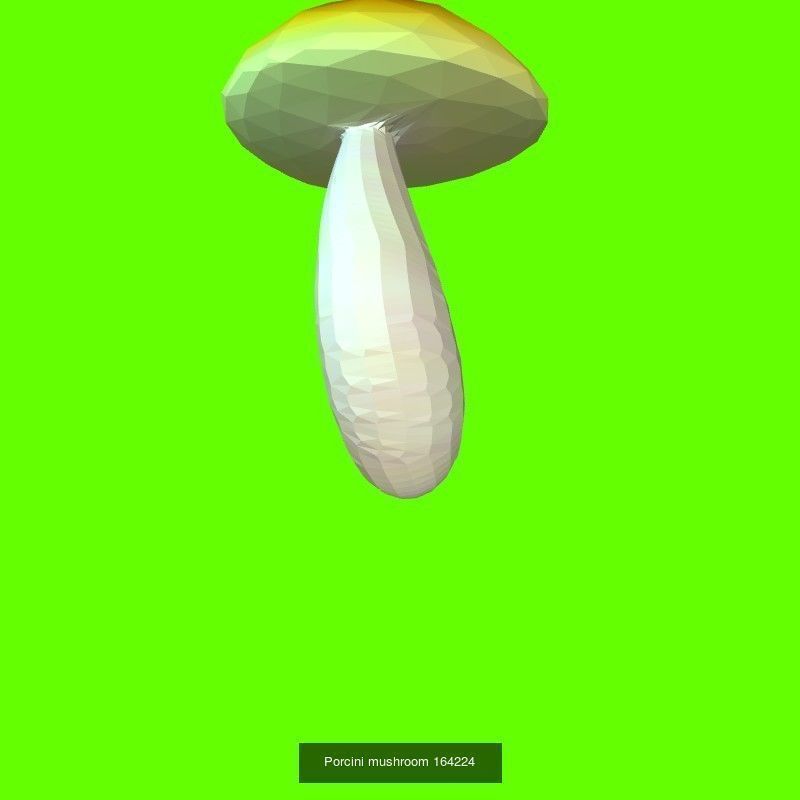 Porcini mushrooms collection _19