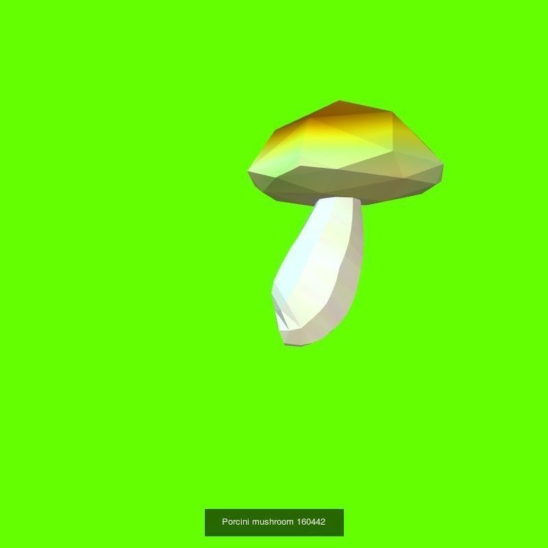 Porcini mushrooms collection _10