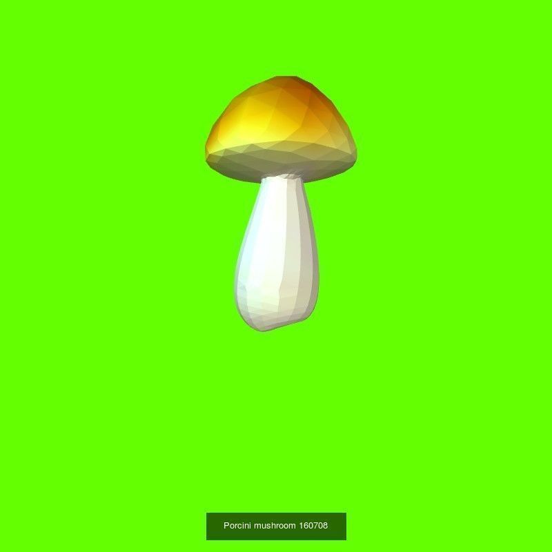 Porcini mushrooms collection _11