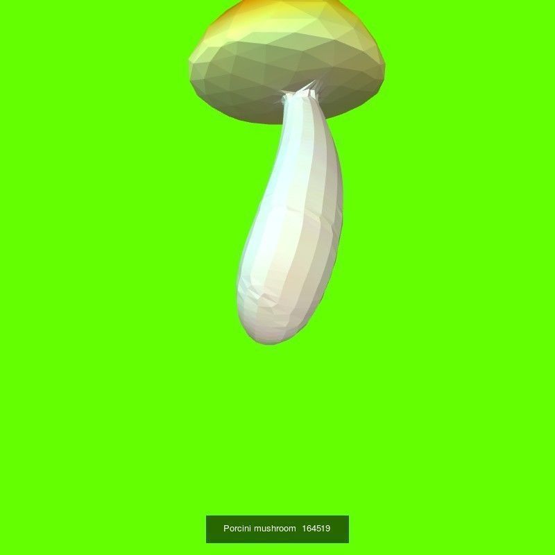 Porcini mushrooms collection _20