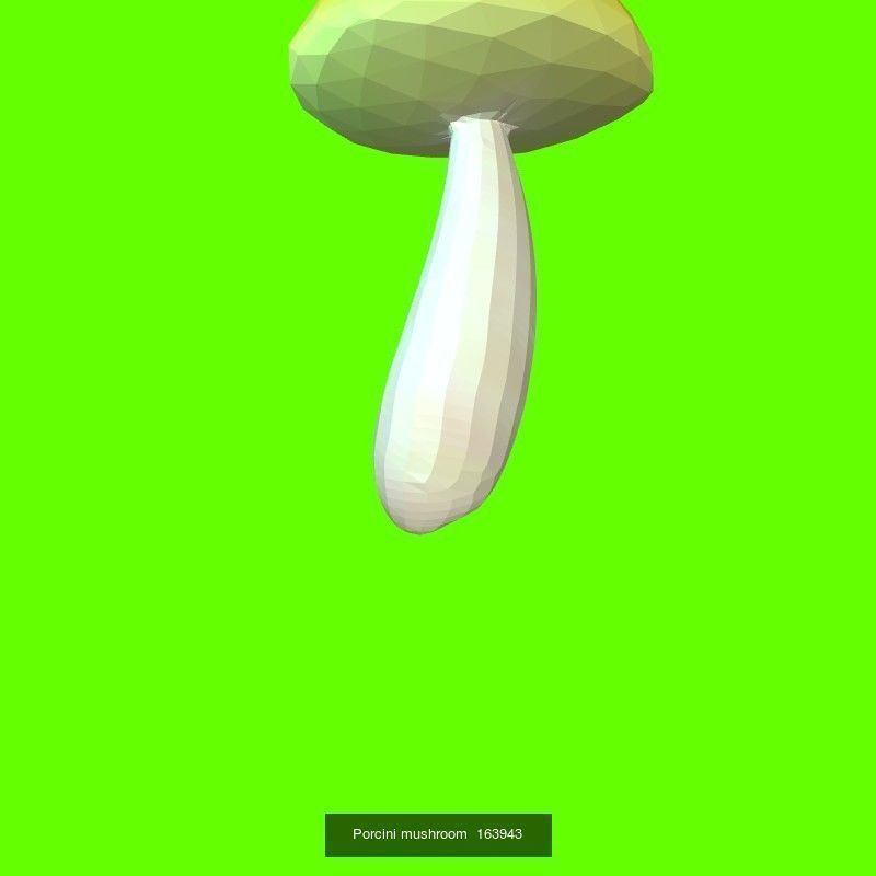 Porcini mushrooms collection _18