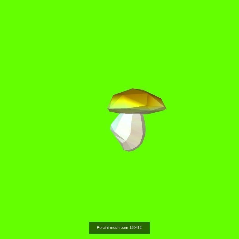 Porcini mushrooms collection _4