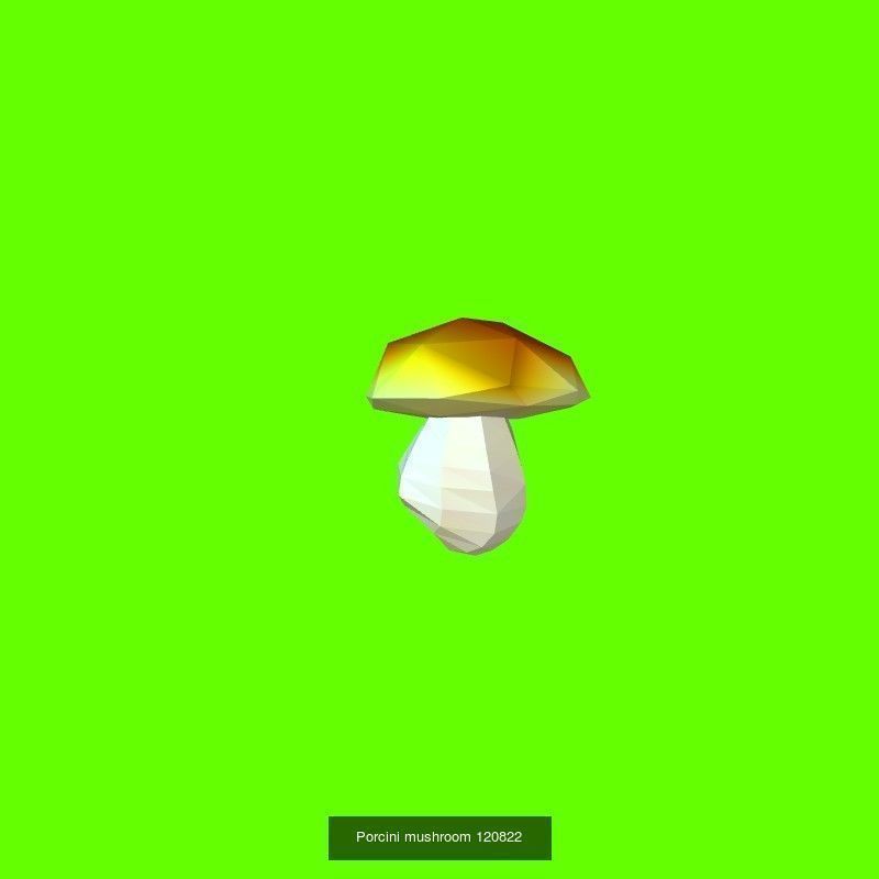 Porcini mushrooms collection _7