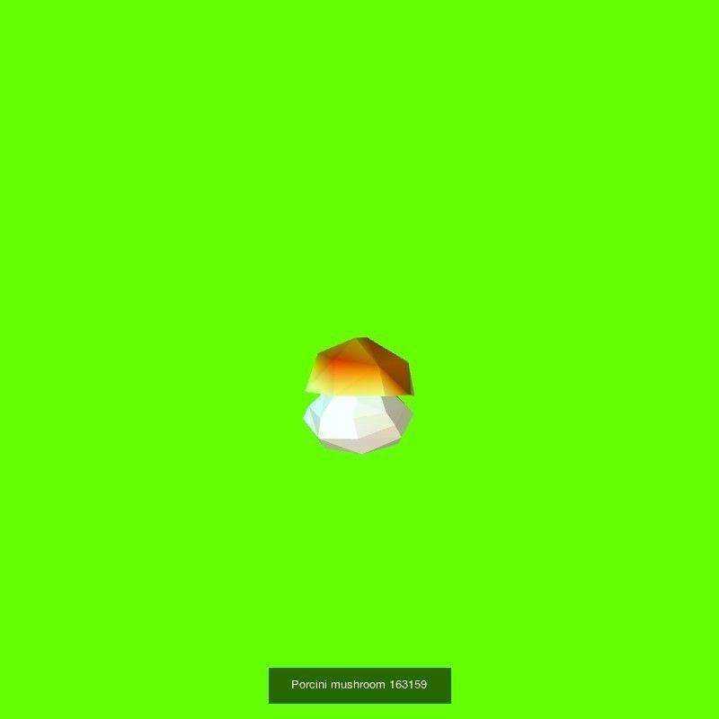 Porcini mushrooms collection _16