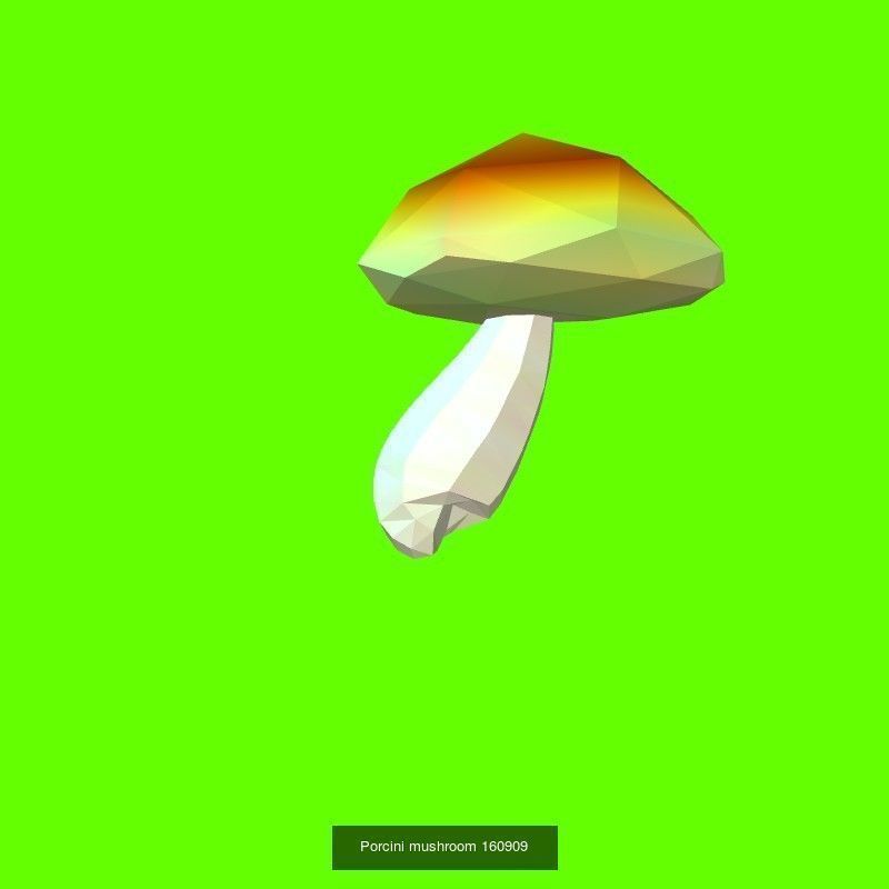 Porcini mushrooms collection _12