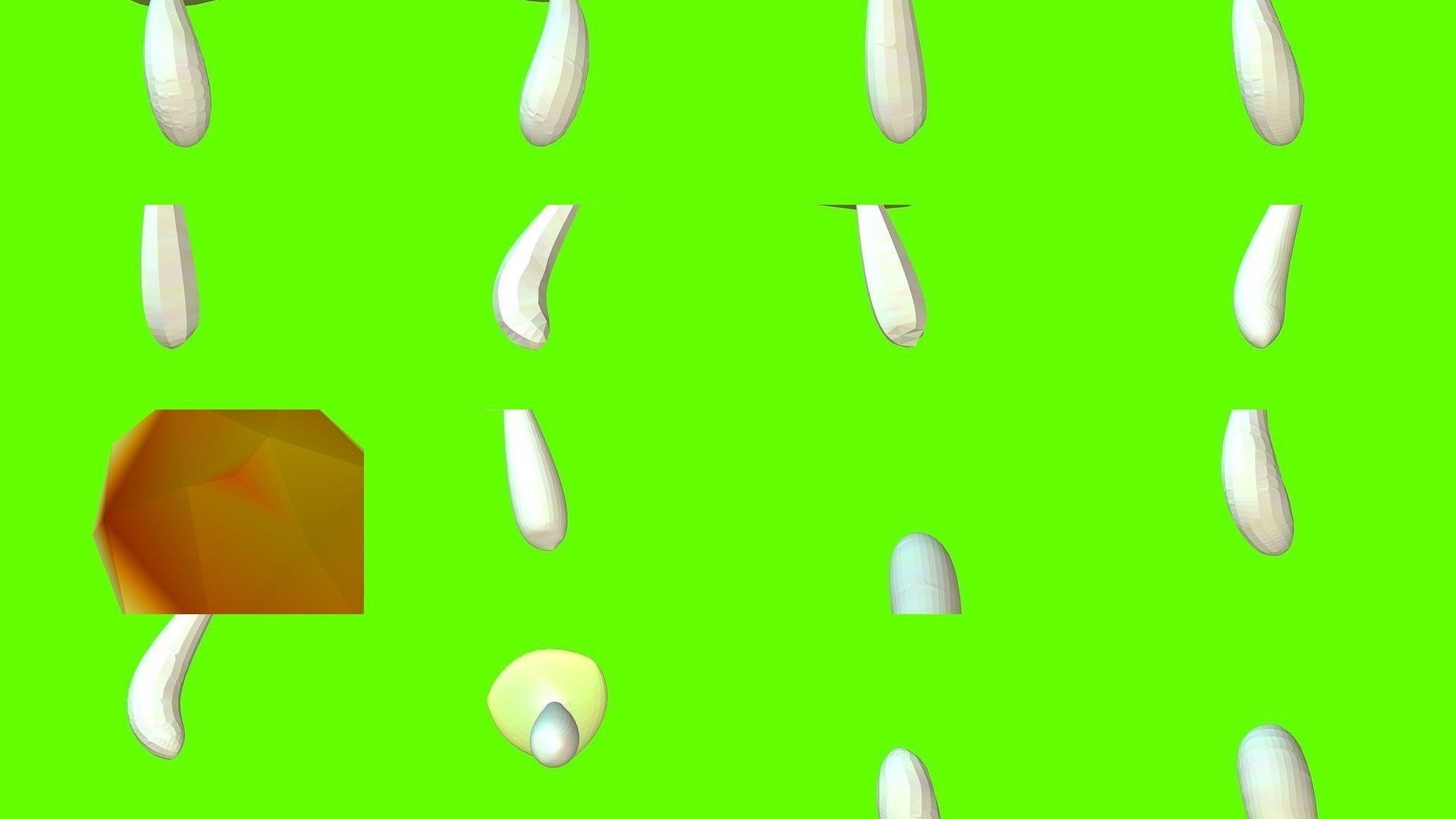 Porcini mushrooms collection _1