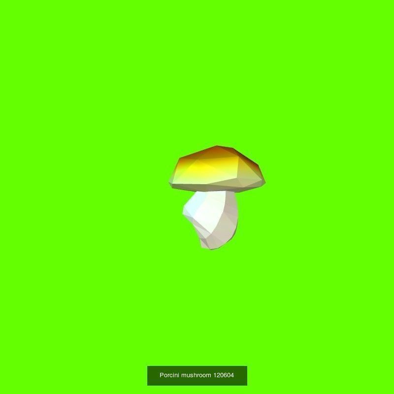 Porcini mushrooms collection _5