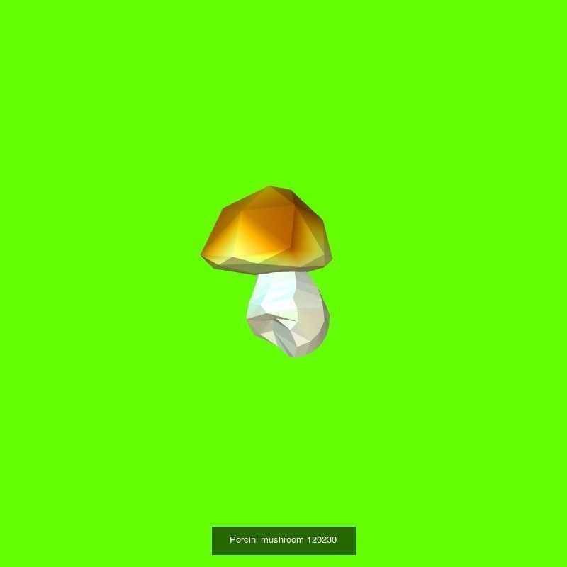Porcini mushrooms collection _3