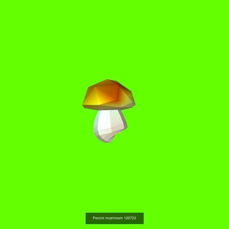 Porcini mushrooms collection _6