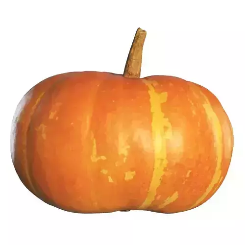 4k Pumpkin 3D model