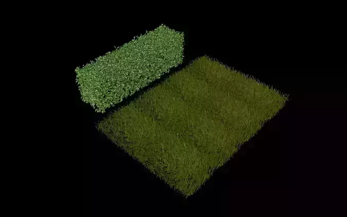 Grass and Bush  3D model