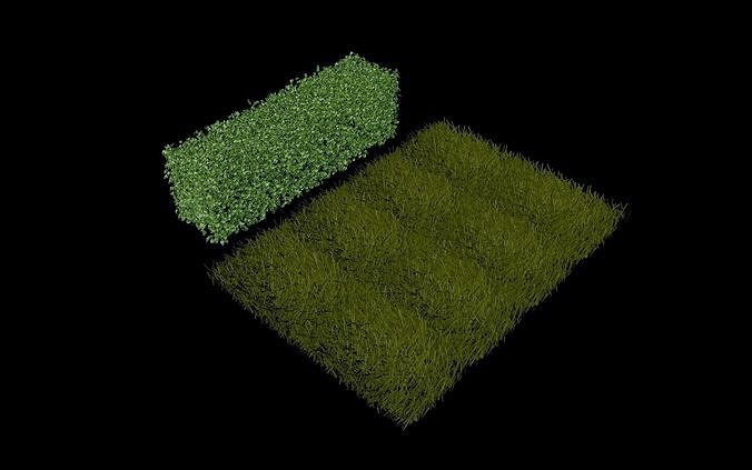 Grass and Bush  3D model