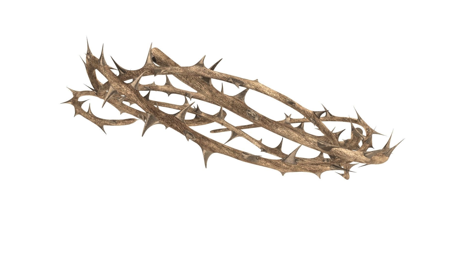 Crown thorn 3D model_6