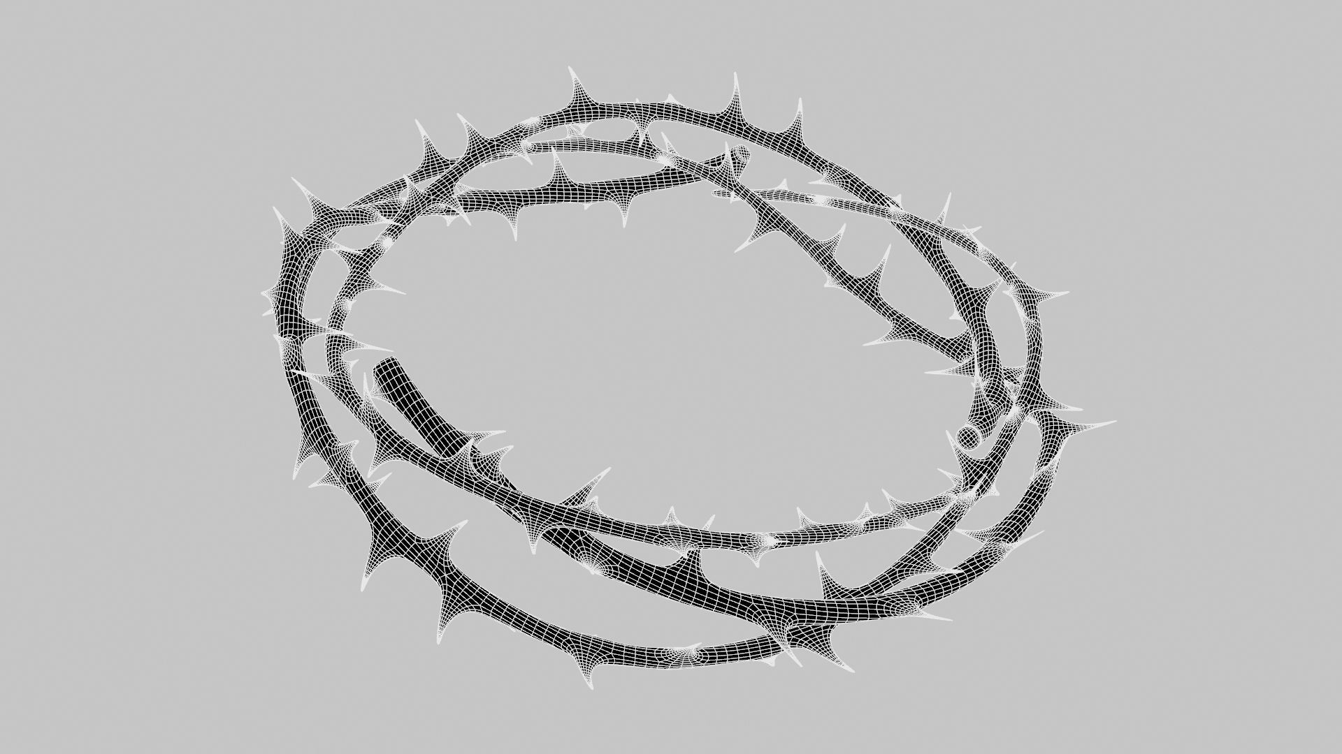 Crown thorn 3D model_25