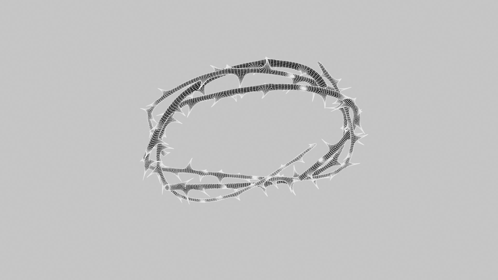 Crown thorn 3D model_27