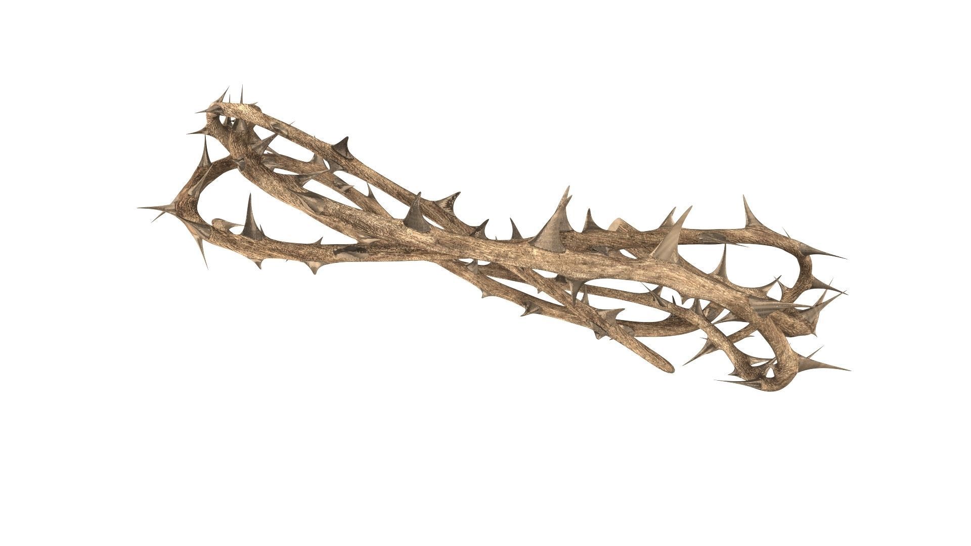 Crown thorn 3D model_8