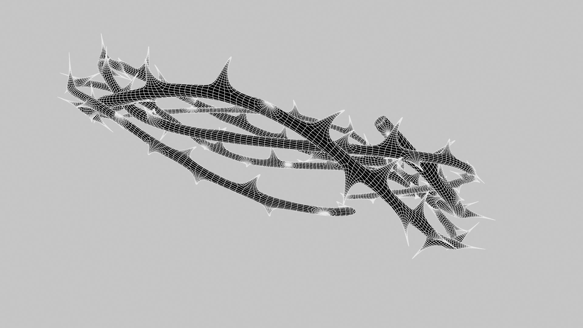 Crown thorn 3D model_19