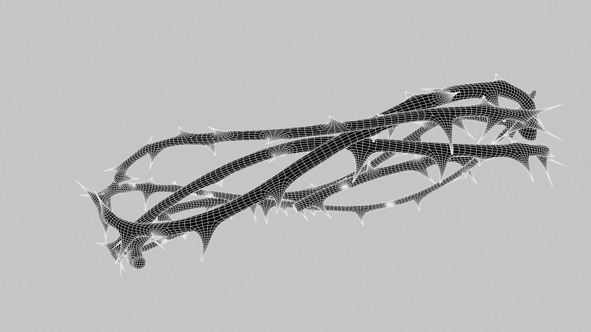 Crown thorn 3D model_18