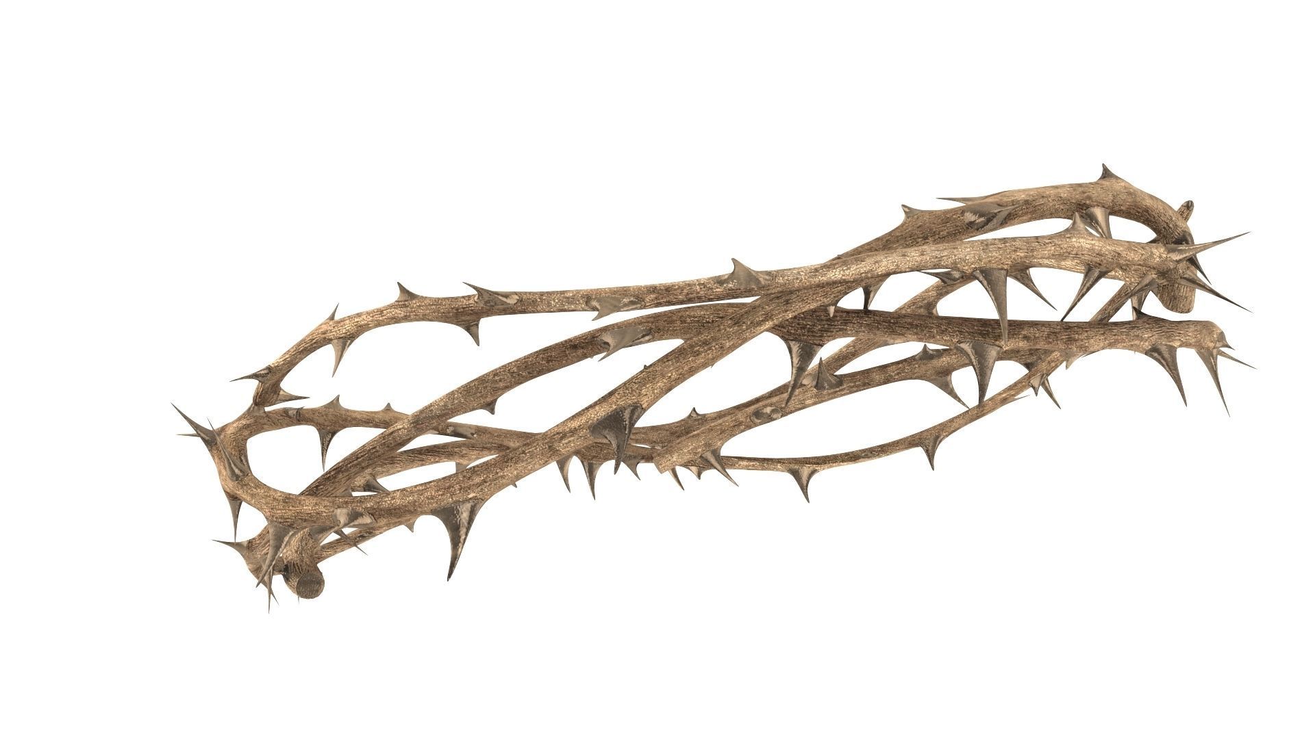 Crown thorn 3D model_3