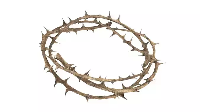 Crown thorn 3D model