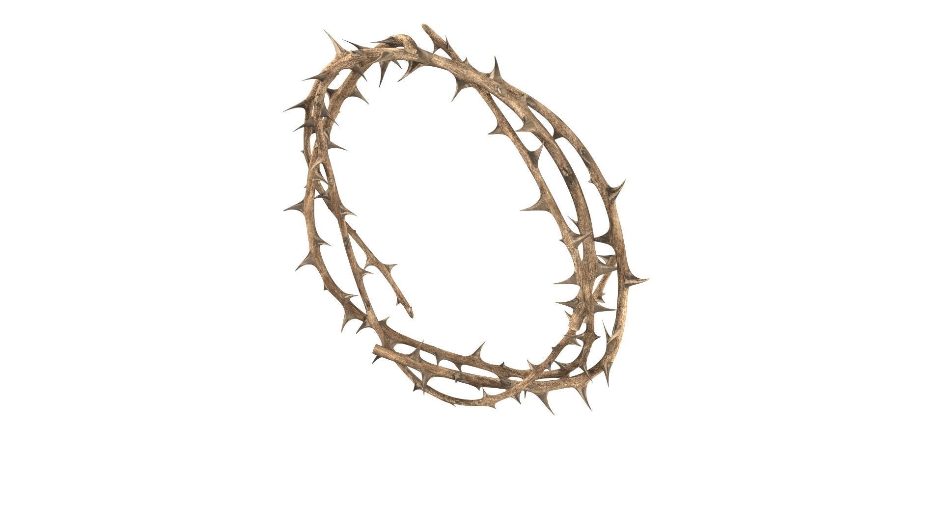 Crown thorn 3D model_1