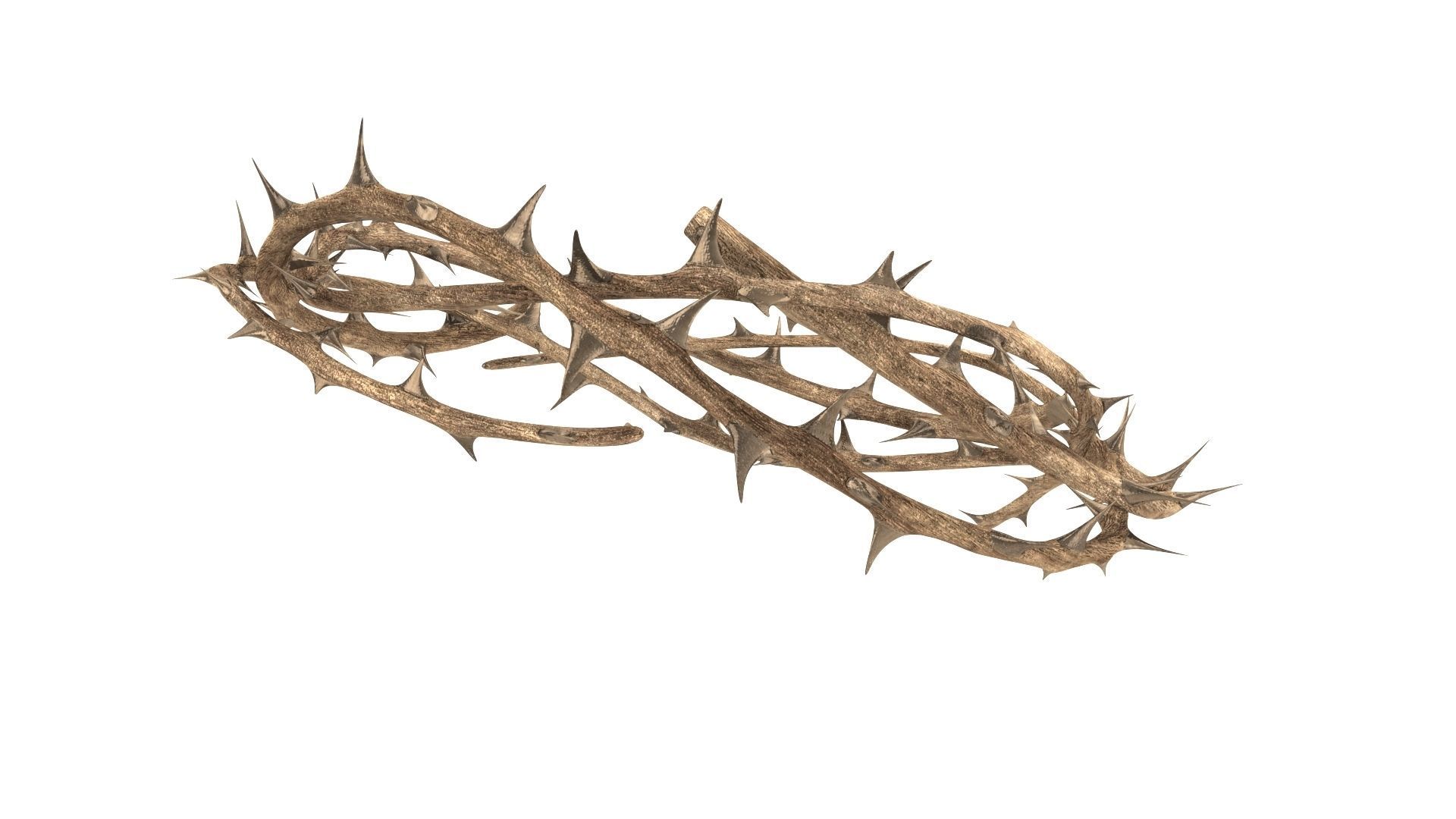 Crown thorn 3D model_5