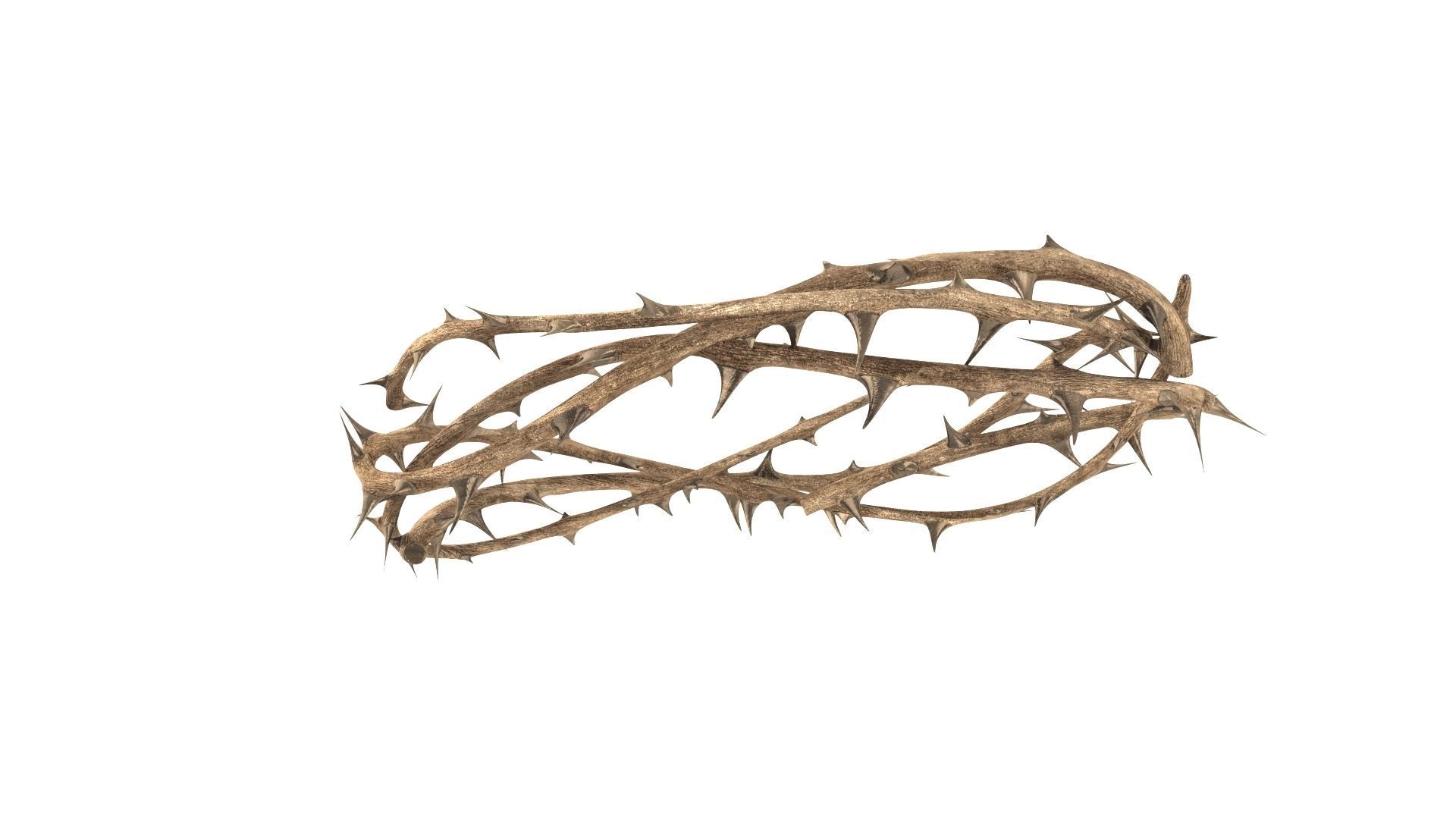 Crown thorn 3D model_2