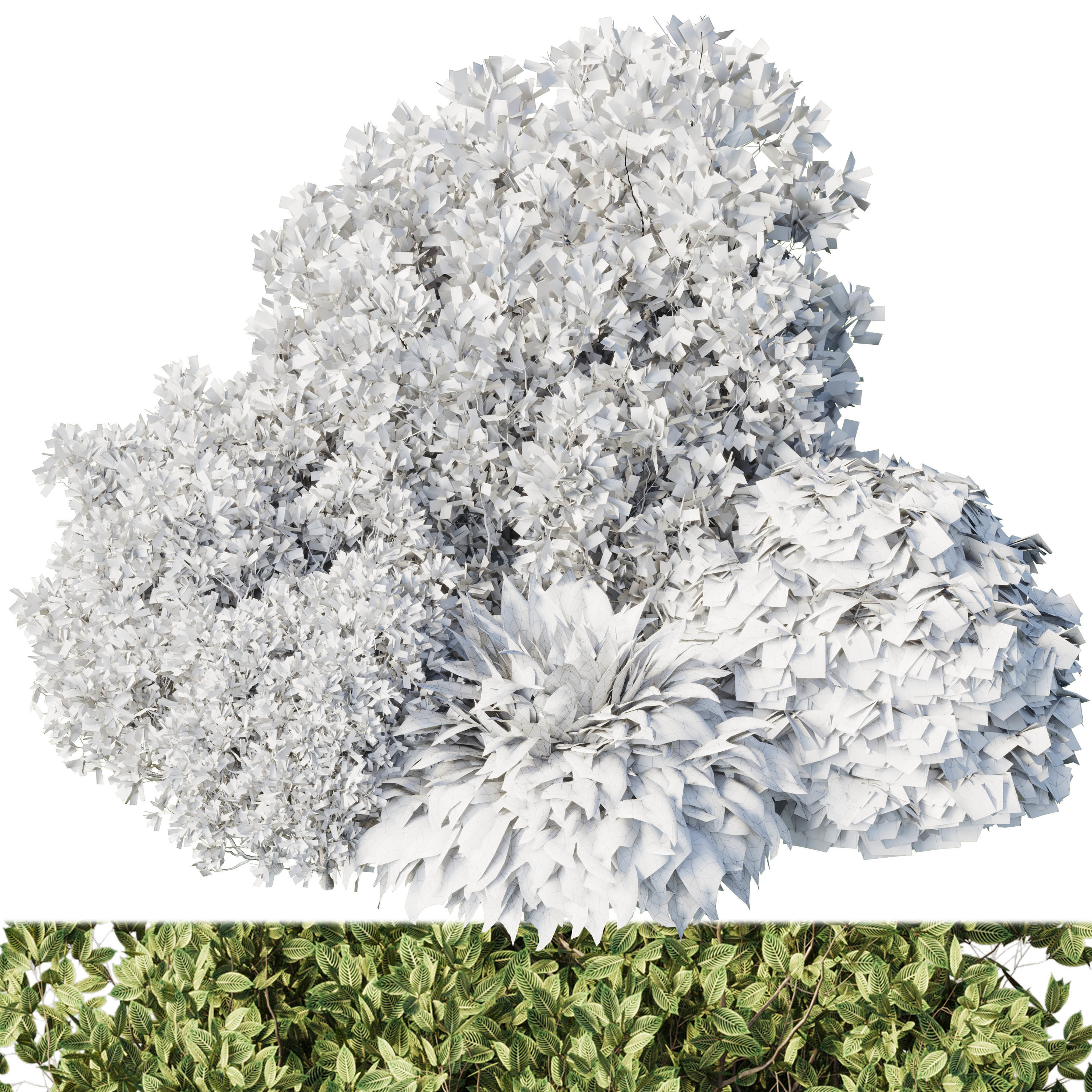 Collection mixed plants bush set 01  3D model_4