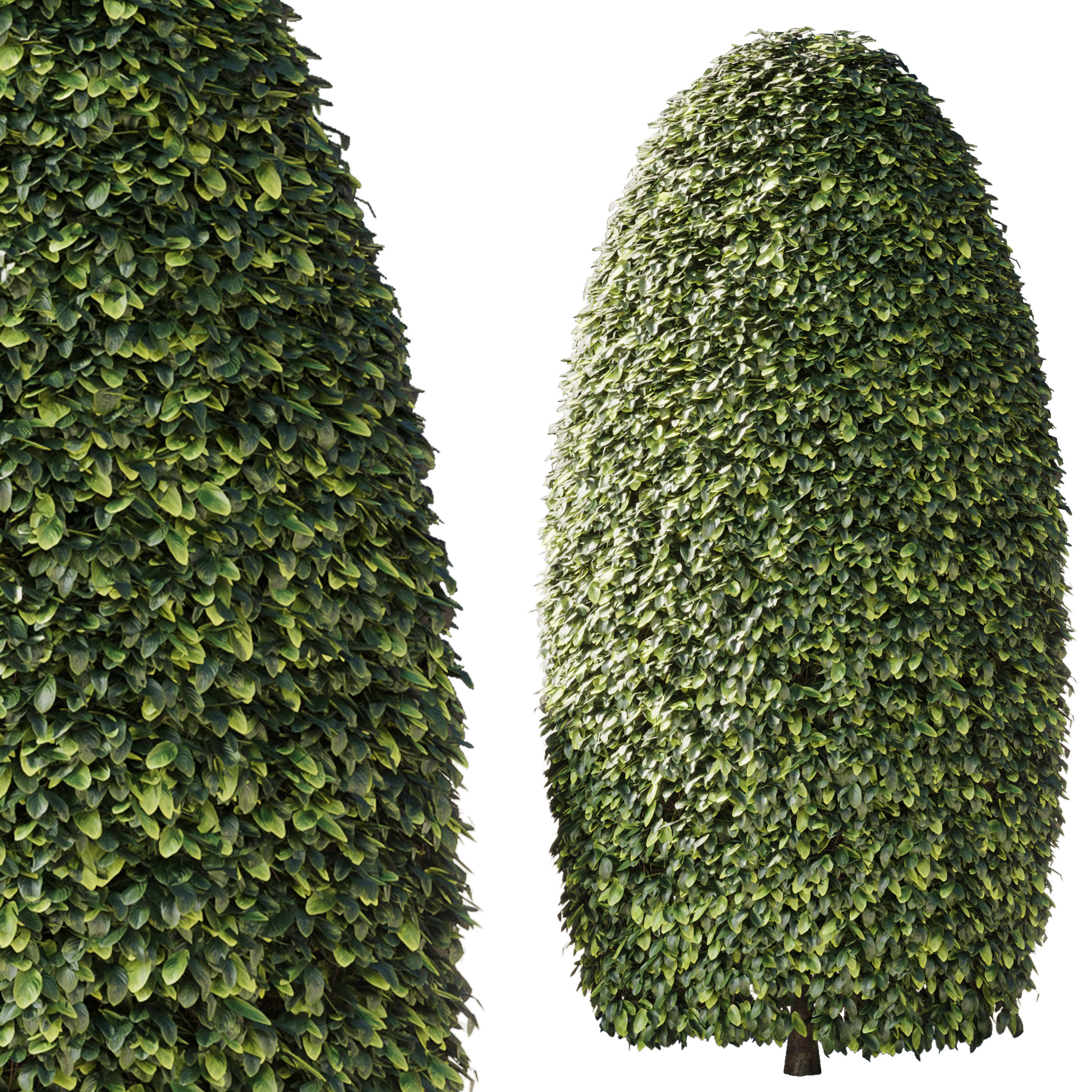 Bush Collection Shrubs cube oval circle  rectangle 3D model_2