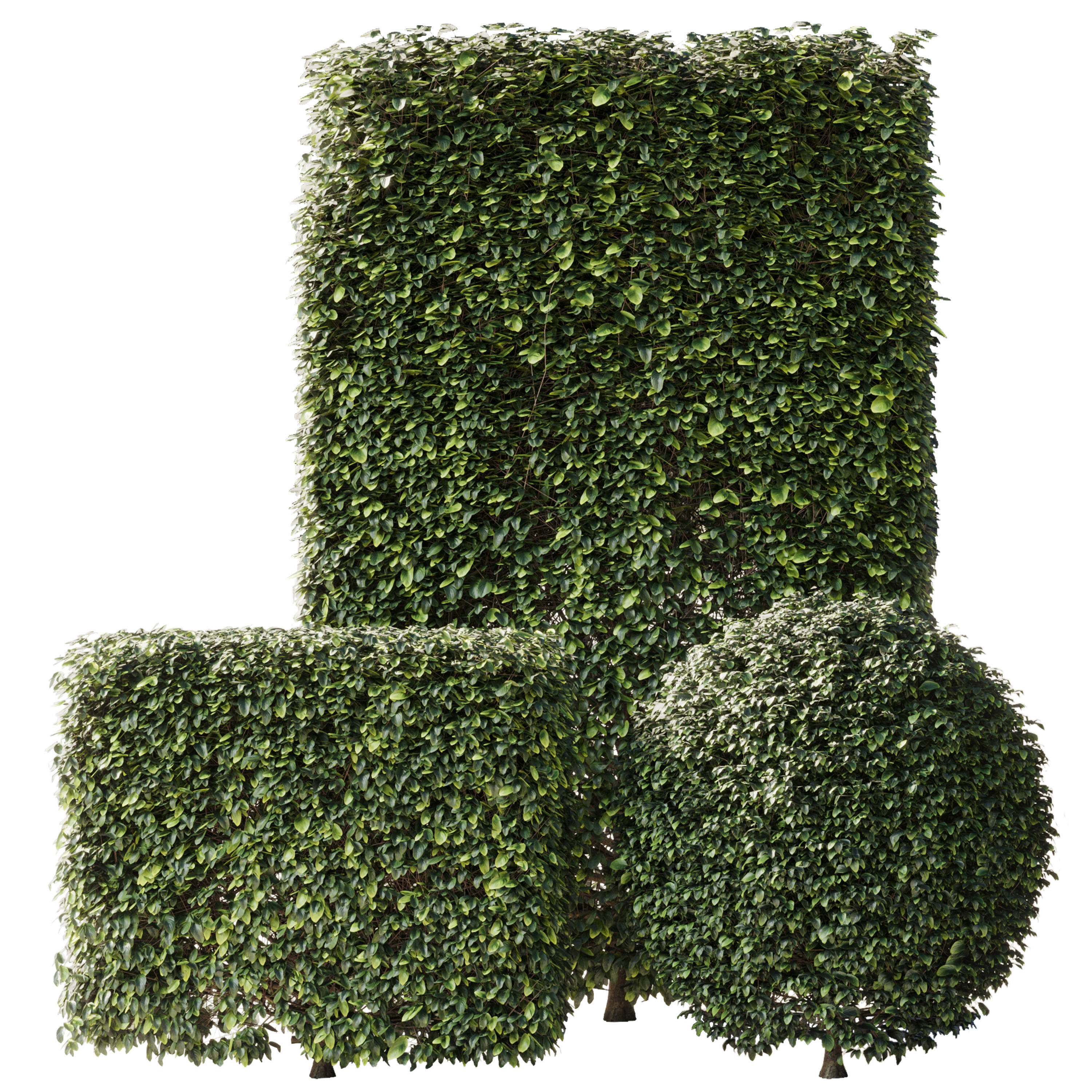 Bush Collection Shrubs cube oval circle  rectangle 3D model_1