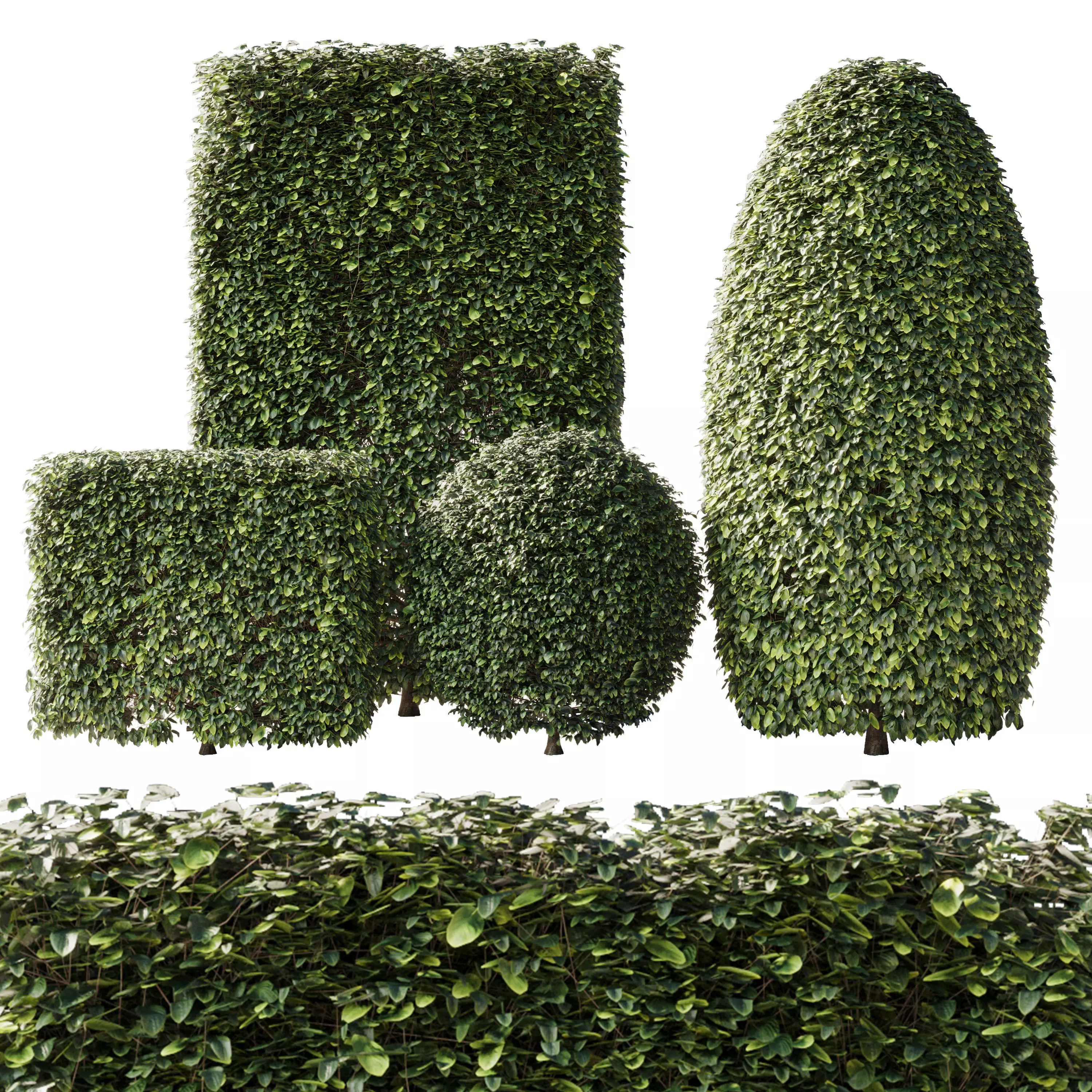Bush Collection Shrubs cube oval circle  rectangle 3D model_0