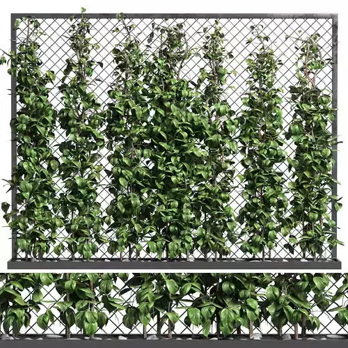 fence and ivy outdoor plant metal vase 01