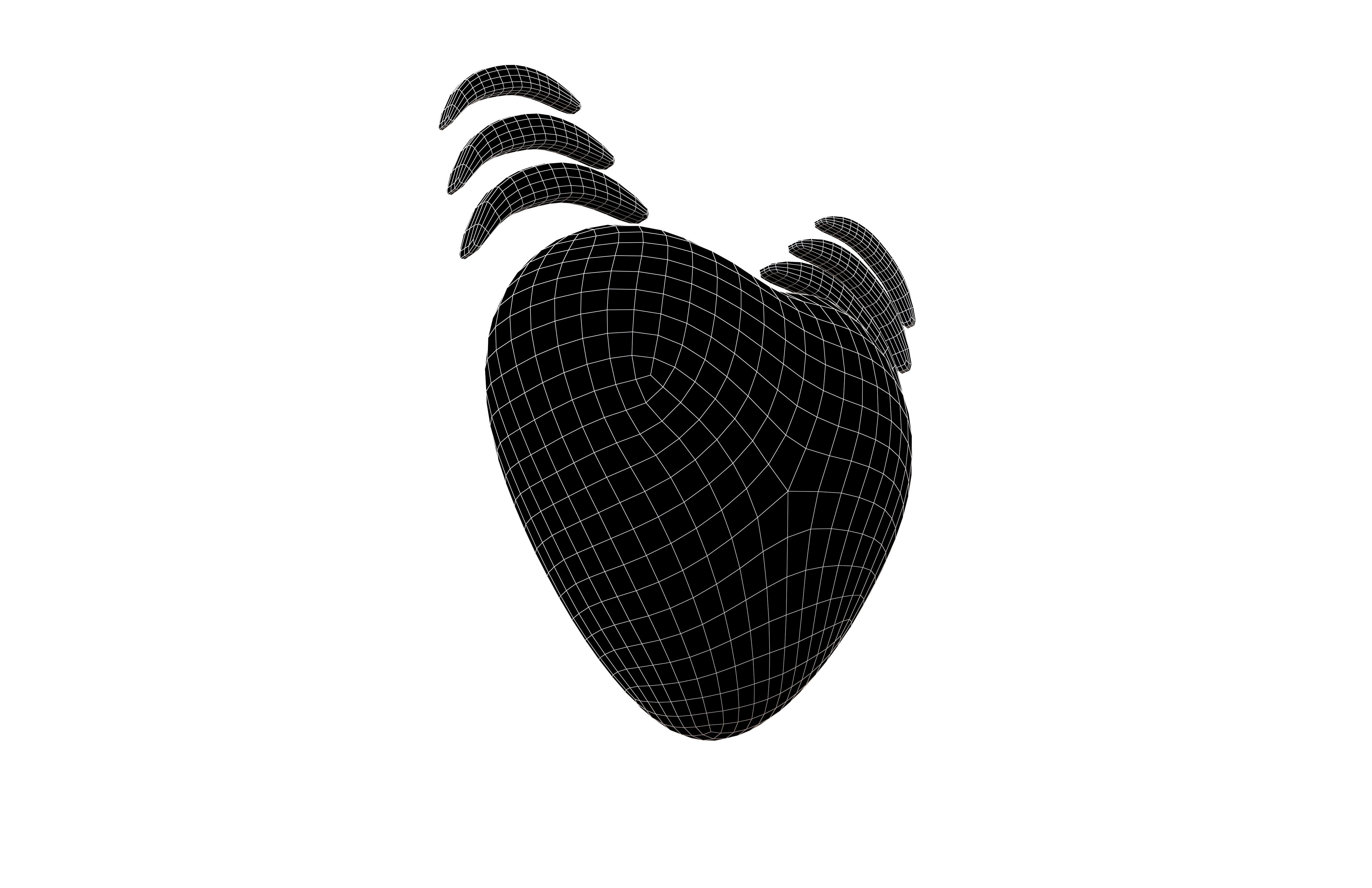 Beating Heart v1 005 Low-poly 3D model_7