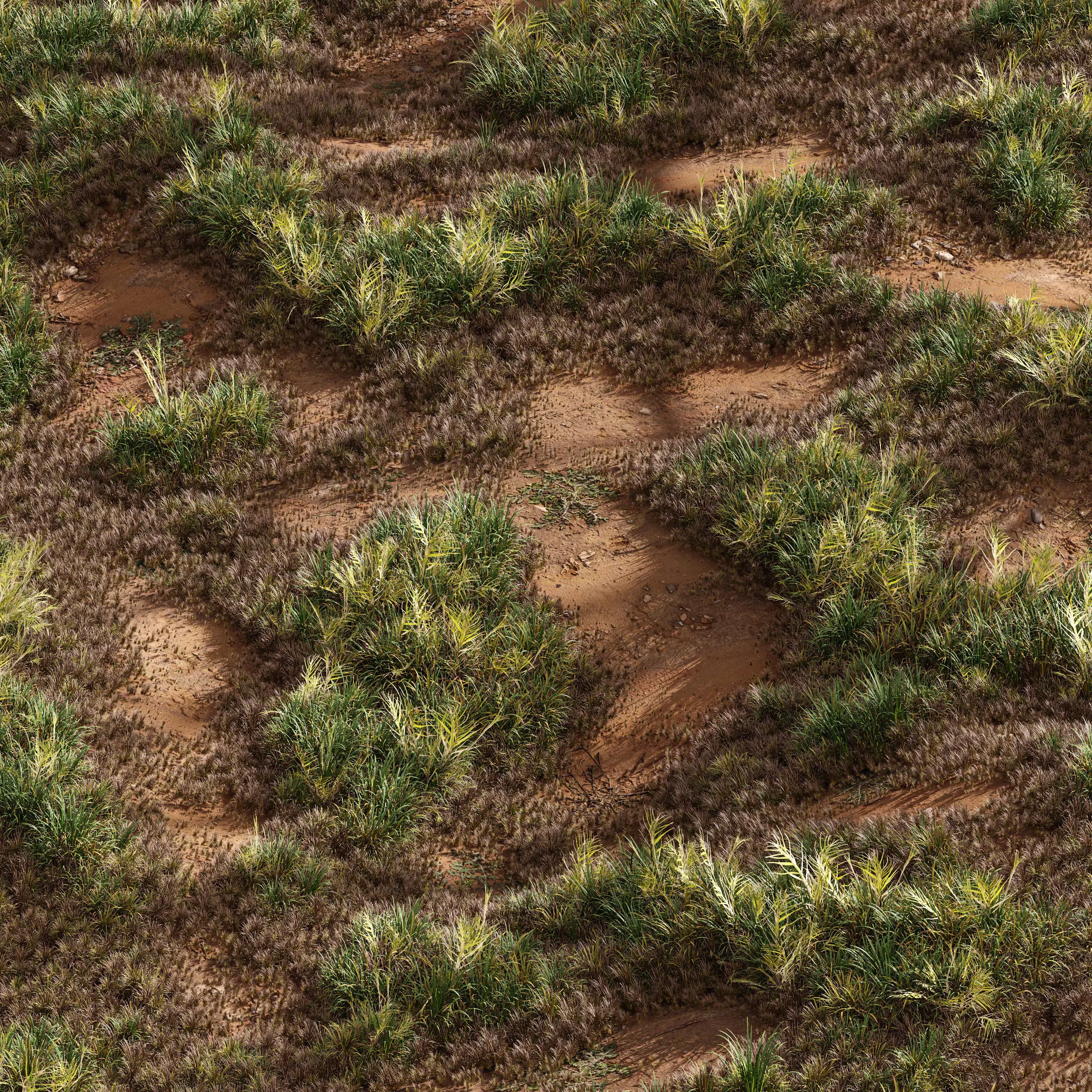 Meadow Lawn Grassland Set 003 3D model_0