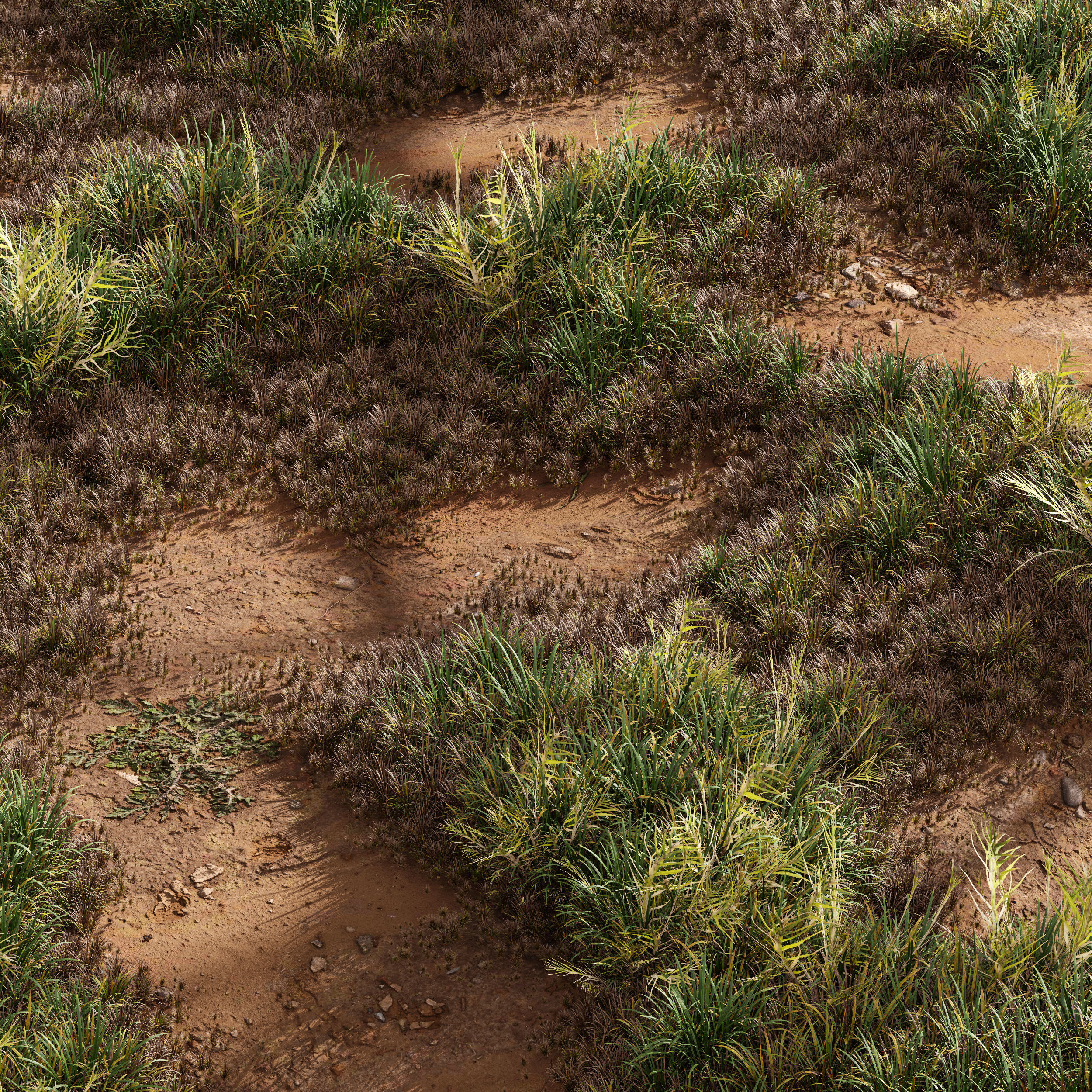 Meadow Lawn Grassland Set 003 3D model_1