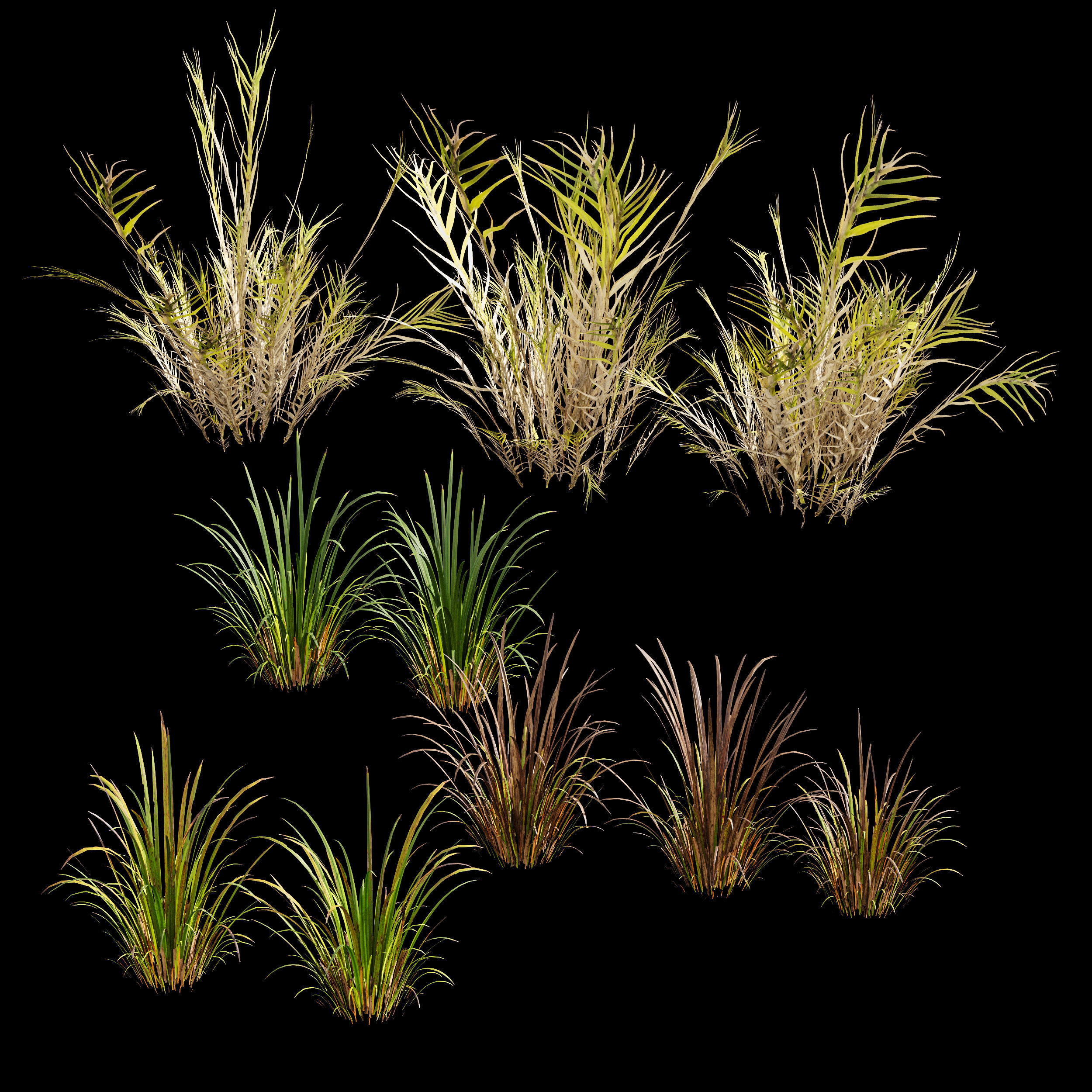 Meadow Lawn Grassland Set 003 3D model_3