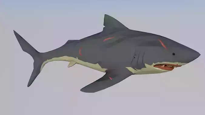 shark01 animations