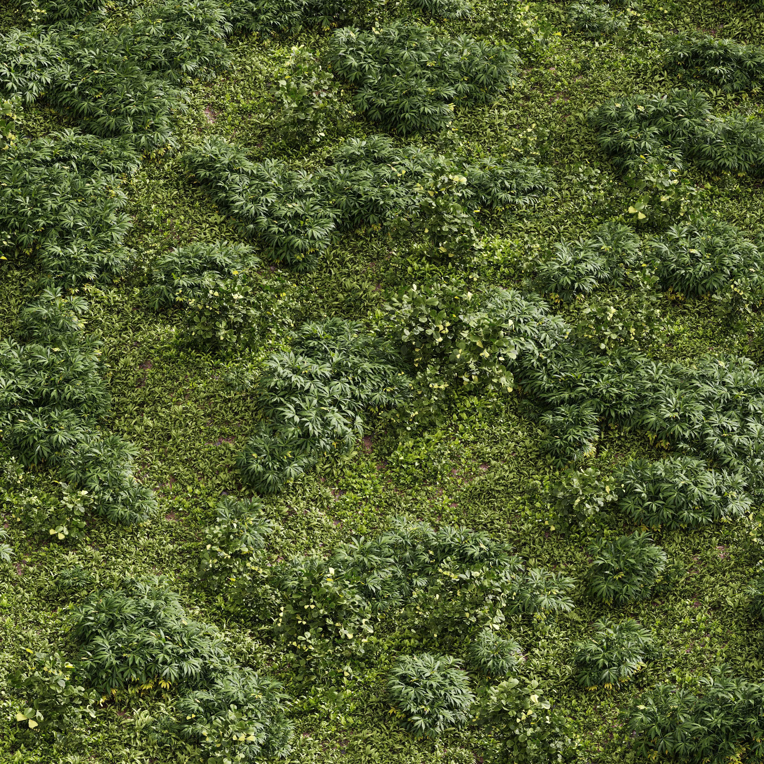 Meadow Lawn Grassland Set 004 3D model_0