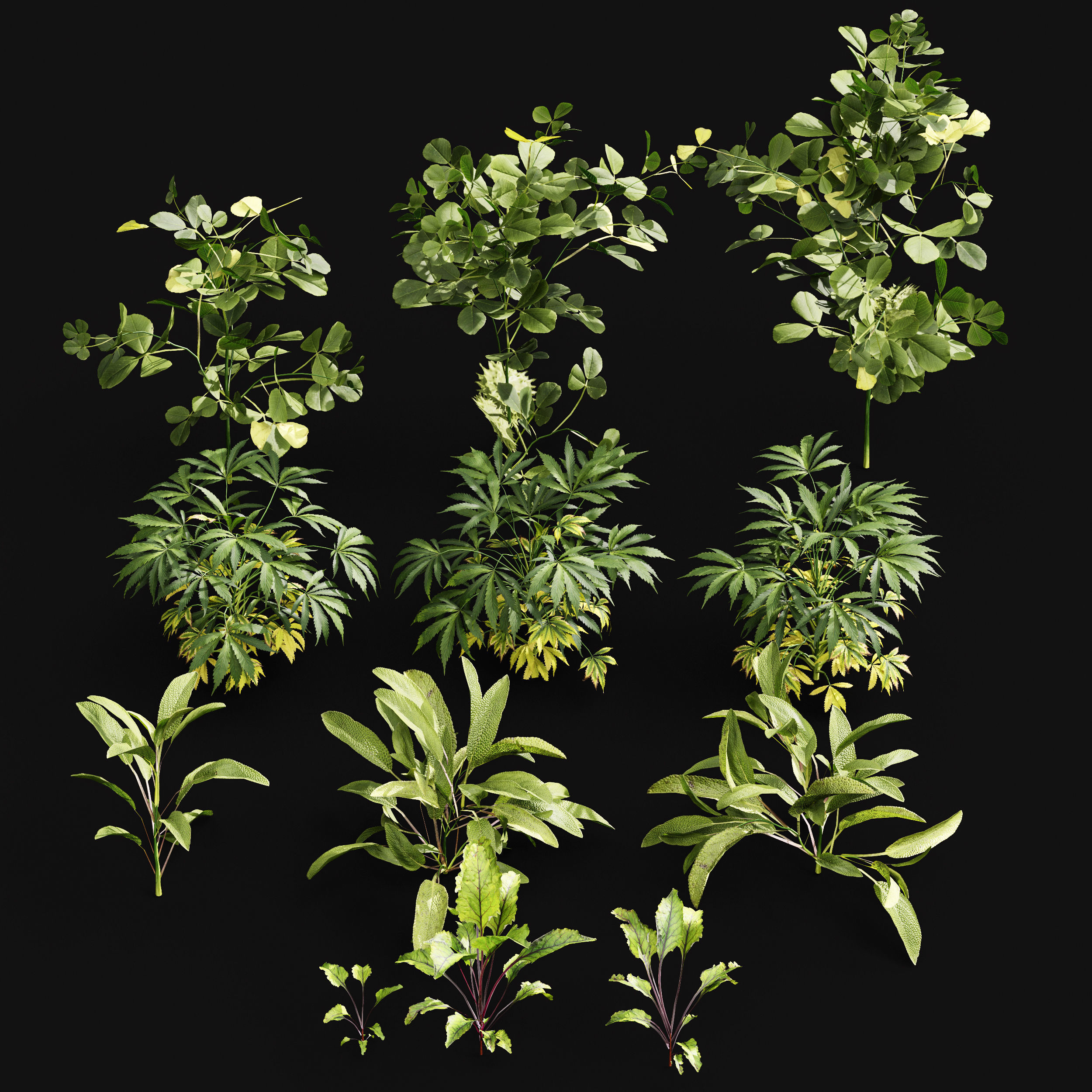 Meadow Lawn Grassland Set 004 3D model_3