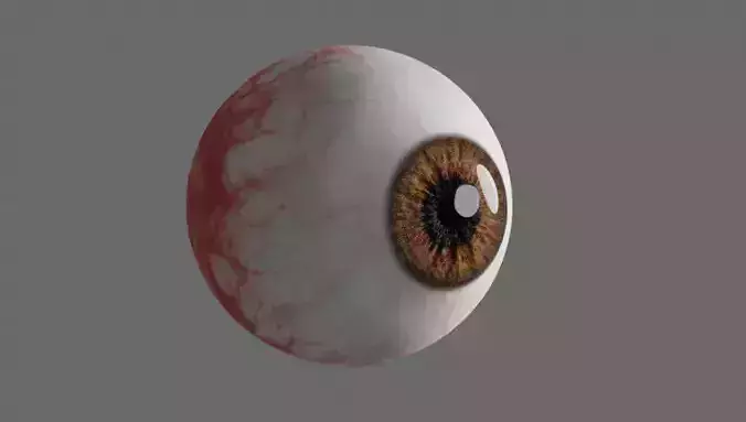 Human eye realistic Low-poly 3D model