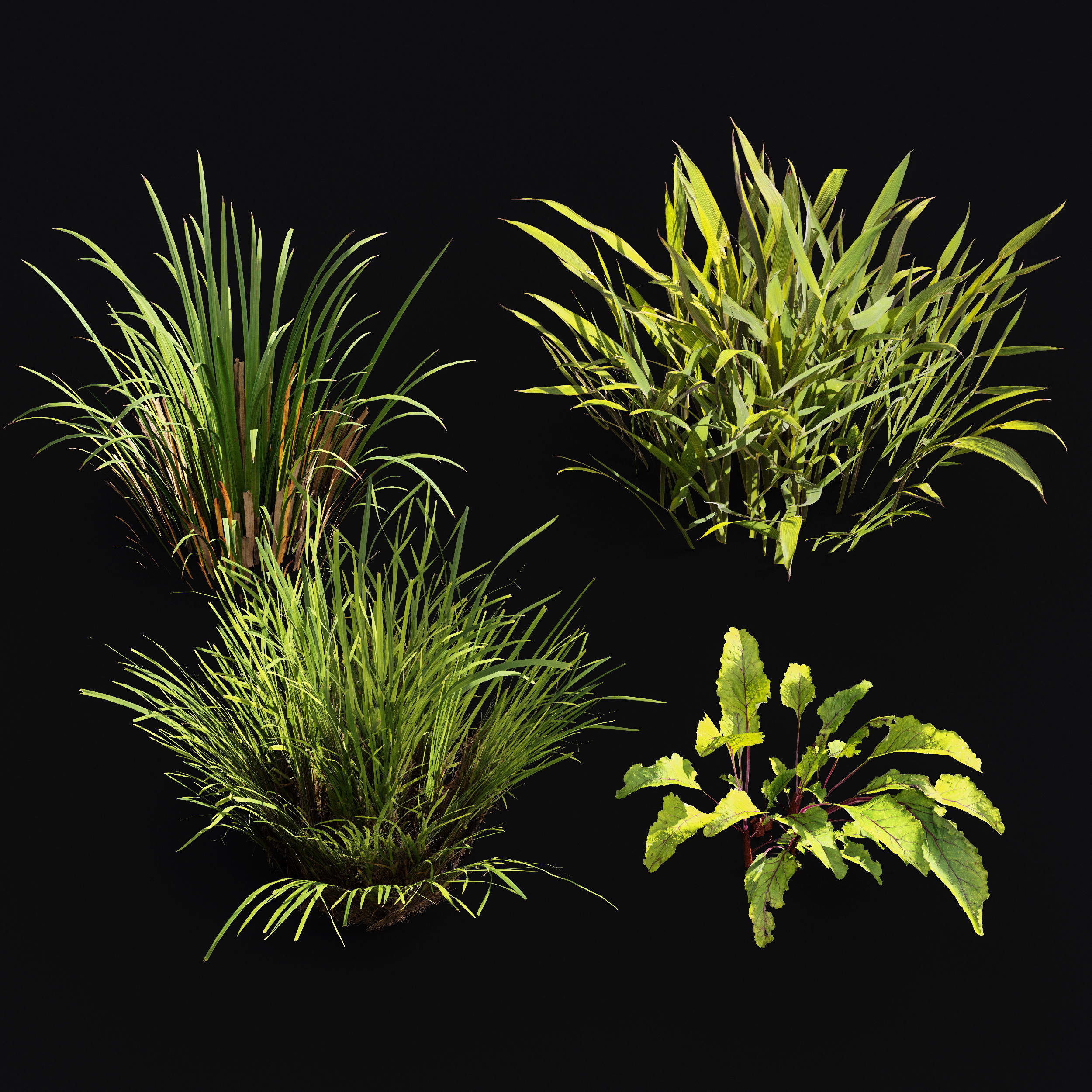 Meadow Lawn Grassland Set 005 3D model_3