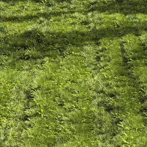 Meadow Lawn Grassland Set 005 3D model